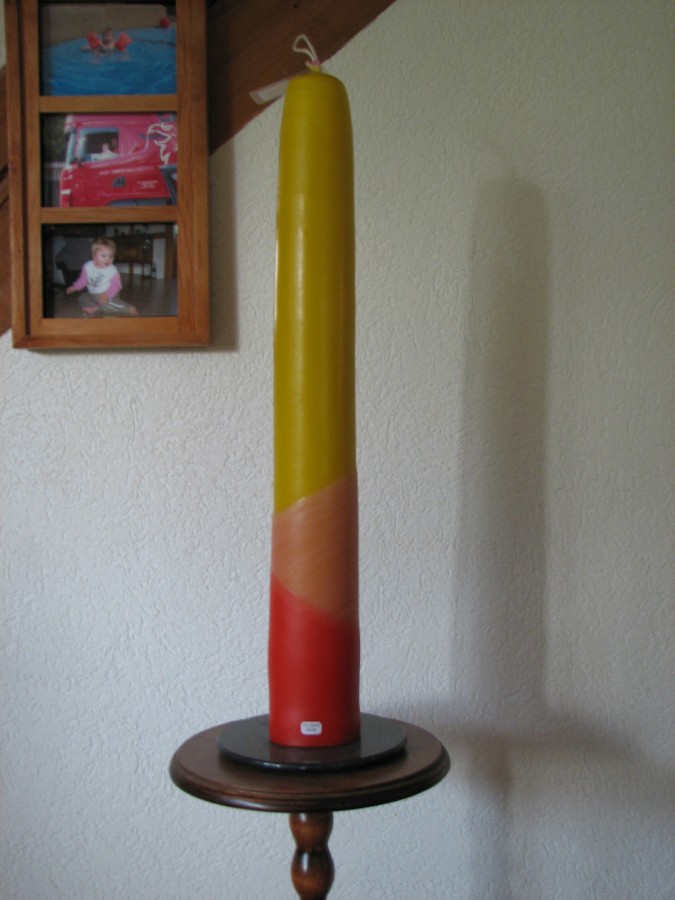 Meine 2. Selbstgezogene - 02.12.2007